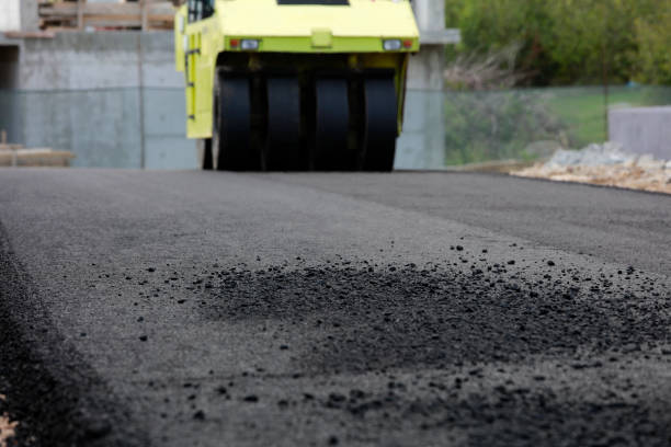 Best Custom Driveway Pavers  in Litchfield Beach, SC